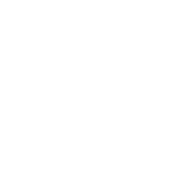 Two white check marks icon